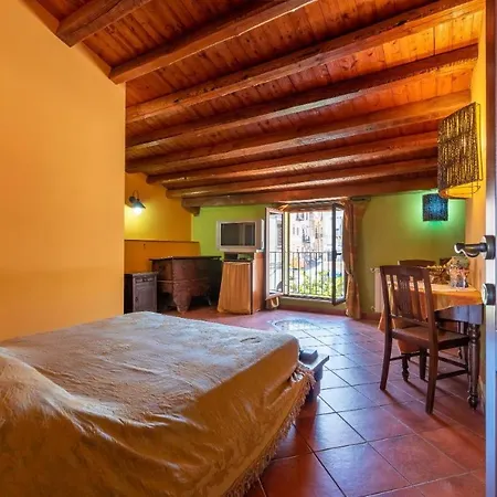 Affittacamere Stenopus Greco Casa Per Affitti Turistici