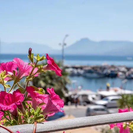 Stenopus Greco Casa Per Affitti Turistici 4*