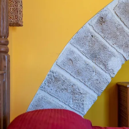 Stenopus Greco Casa Per Affitti Turistici